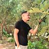 frayzer_21295