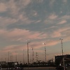 mayar_67677