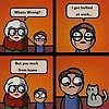 jonas_69935