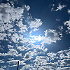 laura_51426