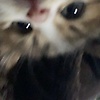 zyy_3001