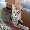 sam_65220