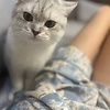 Skyler_258