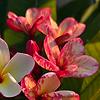 jorgee_58964