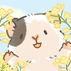 haneen_71593