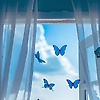 yan_87974