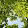 user_324326
