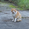 Chuby76