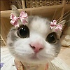 celiaaryon_91852