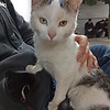 hakan_10705