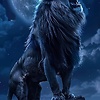 govinda_63287