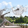 david_88154