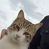 moosa_41439