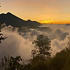el_14698