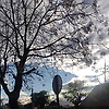 jireh_77142