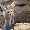 grissxoleo_20924