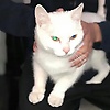 user_82239