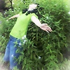Ayurii_74733