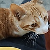 nora_47483