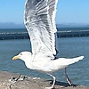 jean_48258
