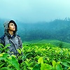 Rokhman