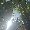 nelly_44283