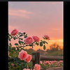 qweer27_47