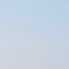 sain_52277