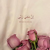 nouna_14782