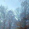 lilli_87254