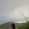 pia_33717