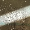 Sunn_35078