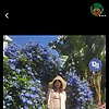 luna_92229