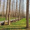 mark_986563