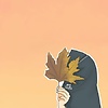 frily_explorer