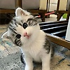 anggun_67735