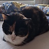kris_67577