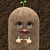 potato_44493