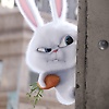 user_171908