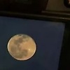 alexandra_45654