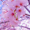 holdme_97927