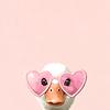 donia_57210