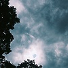 amalina_70436