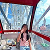 zia_14958