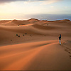 abdel_72740