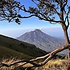 indra_45421