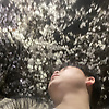 liwen_33094