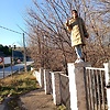 mabelreach_75294