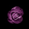 Ahmed-Soliman