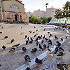 ioanna_98201